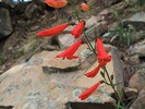 photo thumbnail #14