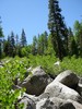 photo thumbnail #5