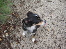 photo thumbnail #7