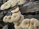 photo thumbnail #10