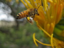 photo thumbnail #13
