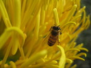 photo thumbnail #15