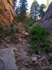 photo thumbnail #7