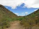 photo thumbnail #1