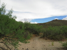 photo thumbnail #2