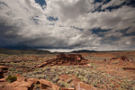 photo thumbnail #14