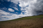 photo thumbnail #11