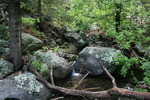 photo thumbnail #7