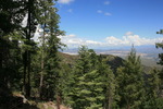photo thumbnail #9