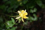 photo thumbnail #15