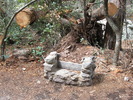 photo thumbnail #9