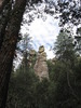 photo thumbnail #10