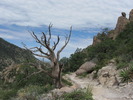 photo thumbnail #12