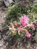 photo thumbnail #14
