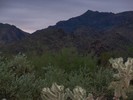 photo thumbnail #1