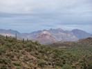 photo thumbnail #7
