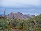 photo thumbnail #13