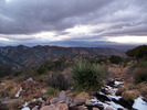 photo thumbnail #7