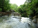 photo thumbnail #12