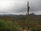 photo thumbnail #7