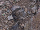 photo thumbnail #13