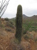 photo thumbnail #15