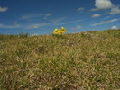 photo thumbnail #14