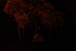 photo thumbnail #13