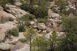 photo thumbnail #5