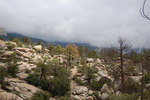 photo thumbnail #7