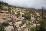 photo thumbnail #8