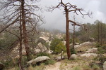 photo thumbnail #11
