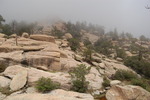 photo thumbnail #12