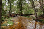 photo thumbnail #14