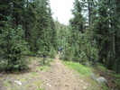 photo thumbnail #7
