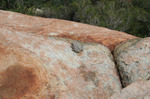 photo thumbnail #12