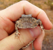 photo thumbnail #4
