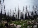 photo thumbnail #10