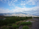 photo thumbnail #1