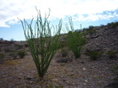 photo thumbnail #3
