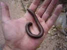 photo thumbnail #4
