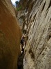 photo thumbnail #12