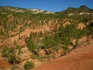 photo thumbnail #3
