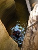 photo thumbnail #14