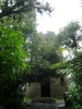 photo thumbnail #13