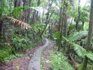 photo thumbnail #14
