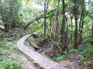 photo thumbnail #15