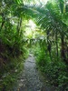 photo thumbnail #10