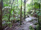 photo thumbnail #12