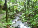 photo thumbnail #13